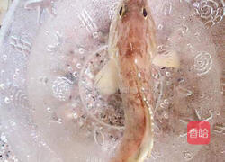 清蒸黄斑鱼的做法图解1