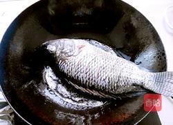 啤酒炖鱼的做法图解4