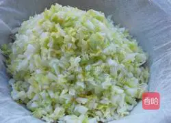 Illustration of how to make pork and cabbage buns 12