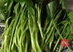 蒜蓉苕尖的做法图解1