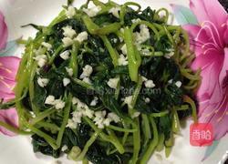 蒜蓉苕尖的做法图解6