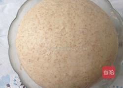 蜂蜜全麦餐包的做法图解3