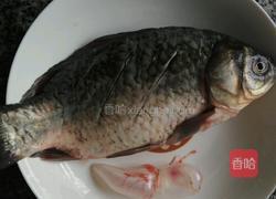 白瓜鲫鱼汤的做法图解1