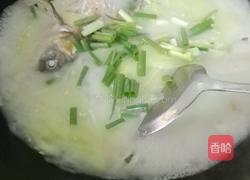白瓜鲫鱼汤的做法图解6