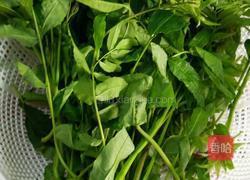 香椿煎蛋的做法图解1