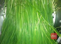 韭菜馅包子的做法图解1