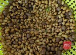 简单版辣椒豆瓣酱的做法图解2