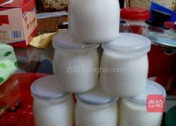 自制酸奶的做法图解5