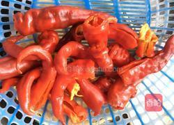 腌红辣椒片的做法图解3