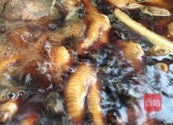 卤鸡的做法图解3