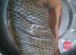 糖醋鱼的做法图解2