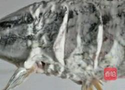 糖醋鱼的做法图解6