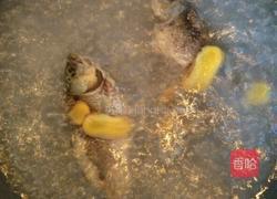 鲫鱼汤的做法图解4