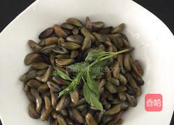 九层塔（金不换）炒薄壳的做法图解1