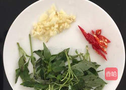 九层塔（金不换）炒薄壳的做法图解2