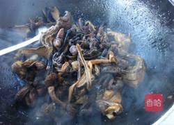 小鸡炖蘑菇的做法图解12