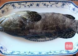 清蒸珍珠龙趸的做法图解2