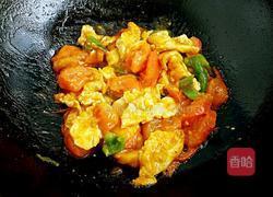 西红柿炒鸡蛋的做法图解4