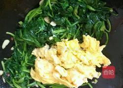 胡油菠菜炒蛋的做法图解13