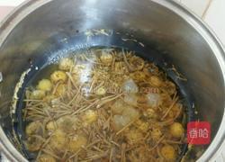 金银花菊花茶的做法图解6