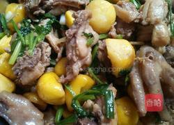 板栗烧鸡的做法图解8