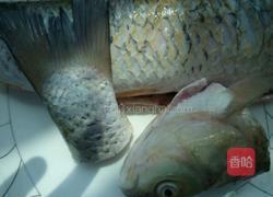 孔雀开屏的做法图解2