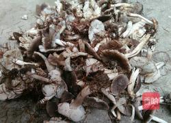 肉炒尖椒蘑菇的做法图解1