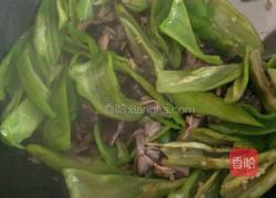 肉炒尖椒蘑菇的做法图解8
