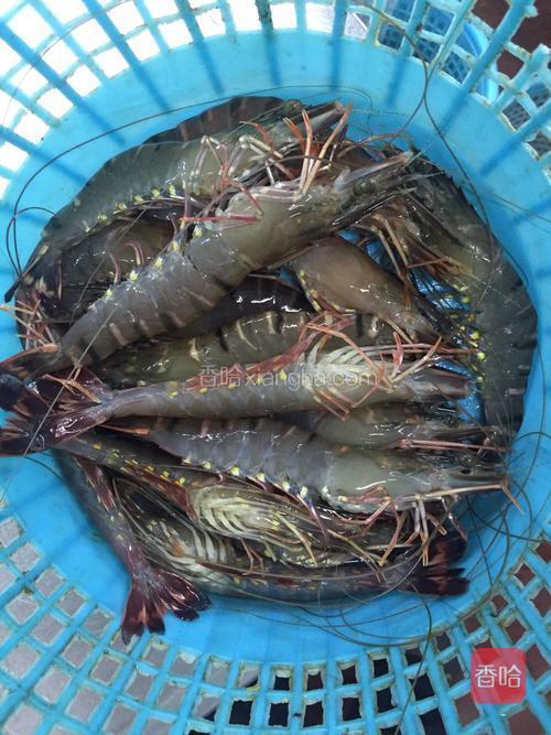 盐局桂虾