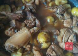 栗子炖老母鸡的做法图解4