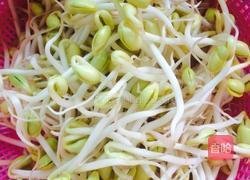 家常海带烧豆芽的做法图解1