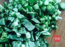 肉丝菜苔烧豆腐的做法图解3