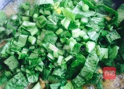 肉丝菜苔烧豆腐的做法图解10