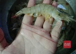 白勺明虾的做法图解2