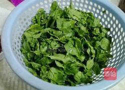 瘦肉枸杞叶汤的做法图解1