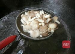 凉拌绣珍菇的做法图解2