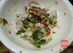 凉拌绣珍菇的做法图解7