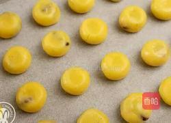 提子奶酥的做法图解10