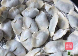 豆芽烧韭菜肉饺的做法图解6