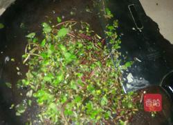 爆炒马苋齿的做法图解2