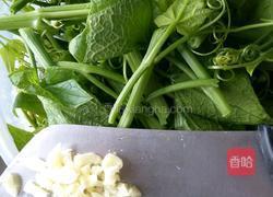 清炒佛手瓜苗的做法图解2