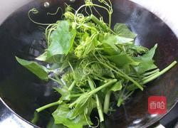 清炒佛手瓜苗的做法图解5