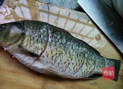 萝卜丝鲫鱼的做法图解1