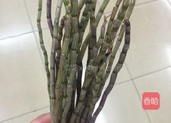 鲜石斛煲冬瓜薏米芡实汤的做法图解1