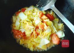 娃娃菜蕃茄炒鸡蛋的做法图解6