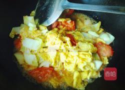 娃娃菜蕃茄炒鸡蛋的做法图解7