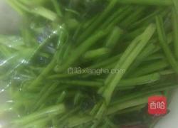 素炒苕尖的做法图解5