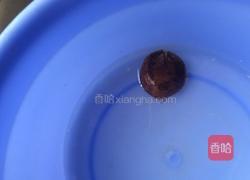 蒸板栗的做法图解3