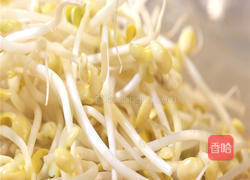 黄豆芽炒粉条的做法图解1