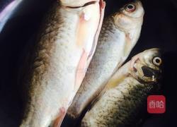 野生鲫鱼煨豆腐的做法图解1